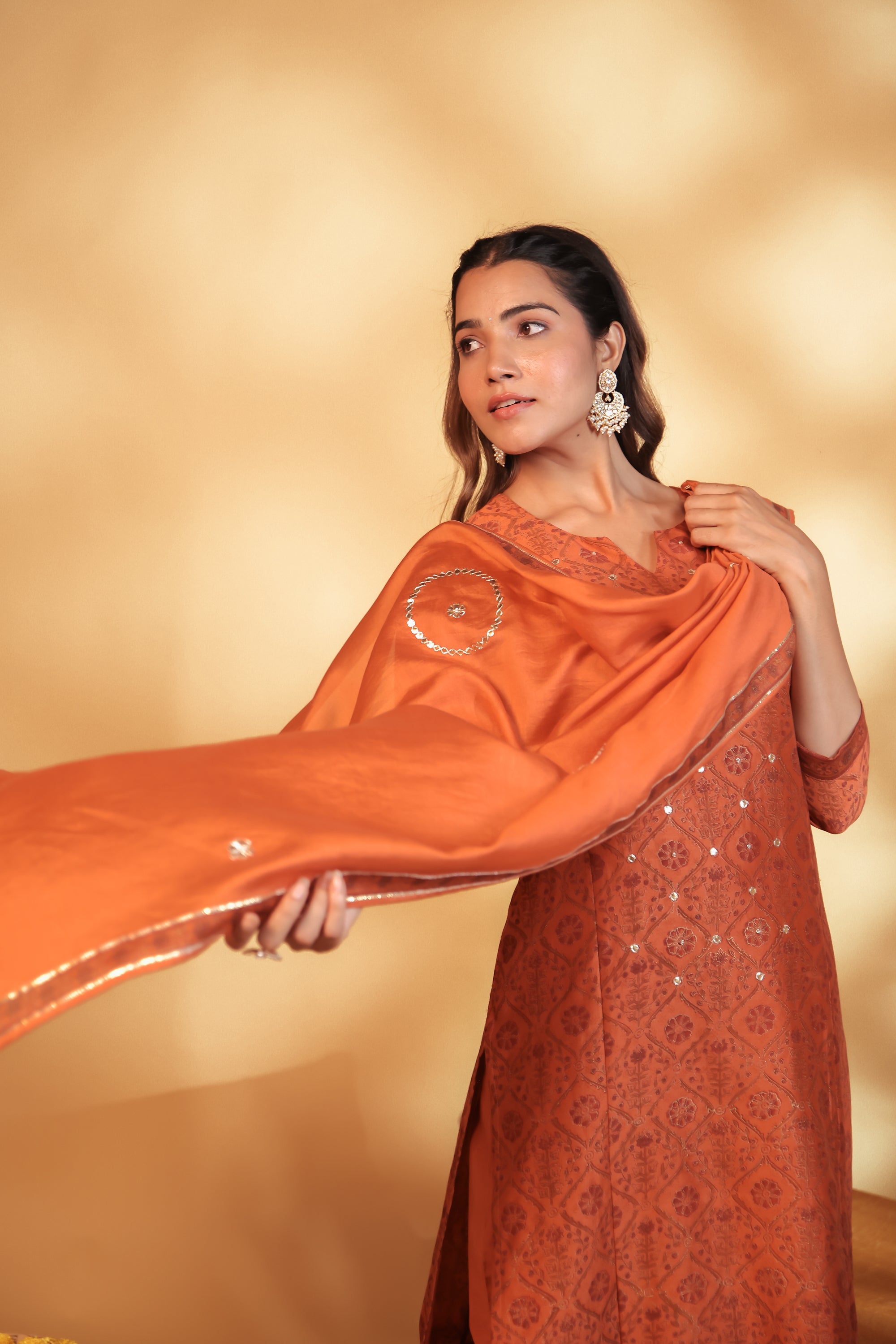 Rust Hand Embroidery Chanderi Suit Set